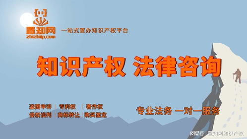 知识产权全解析 分类标准与五大核心类型详述