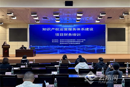 昆明高新区举办知识产权运营服务体系建设项目财务培训会